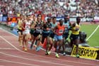 Mens 3000 metres,  2013 IAAF Diamond League, Sainsbury's Anniversary Games, Queen Elizabeth Olympic Park, London.